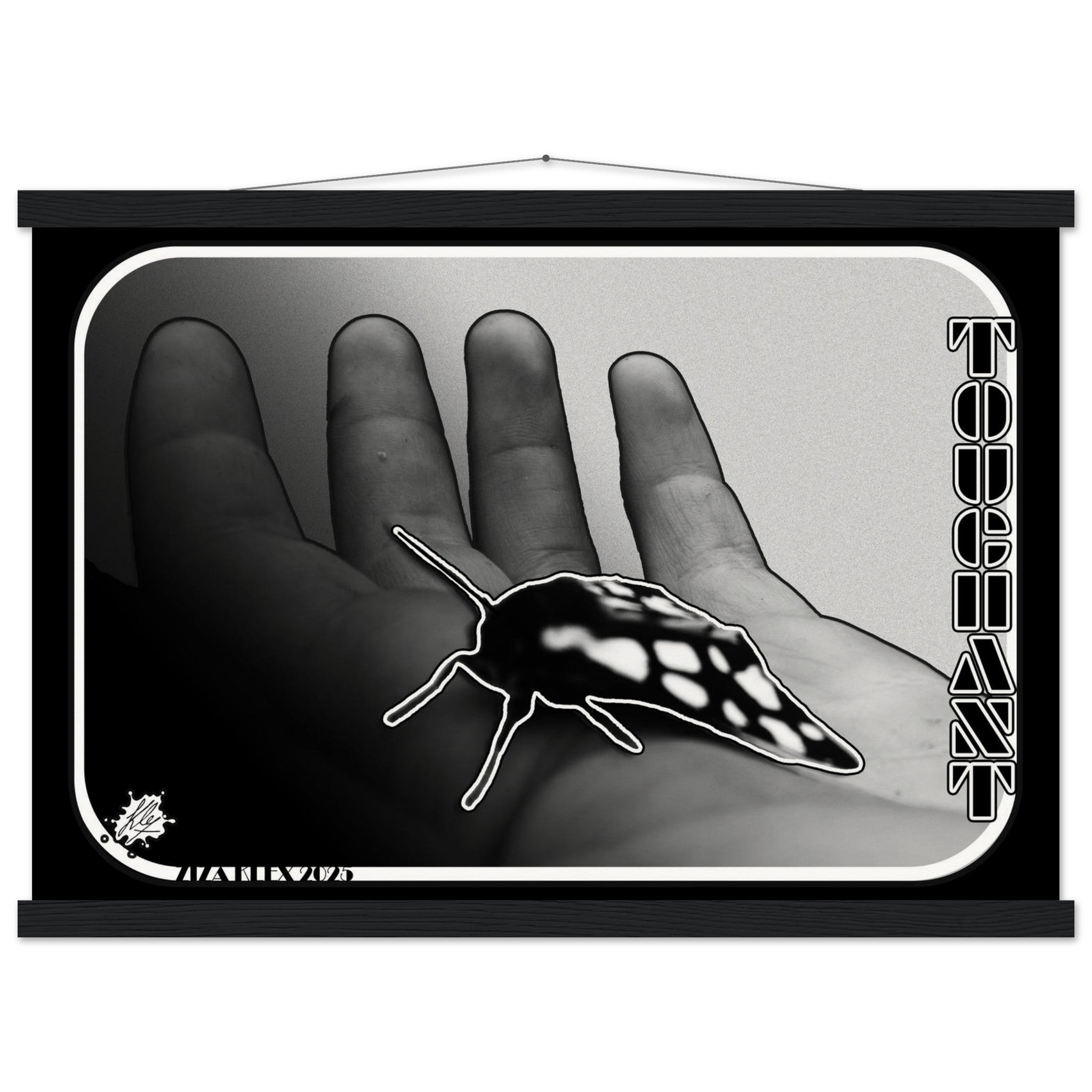 TOUCHANT - KLEX ART