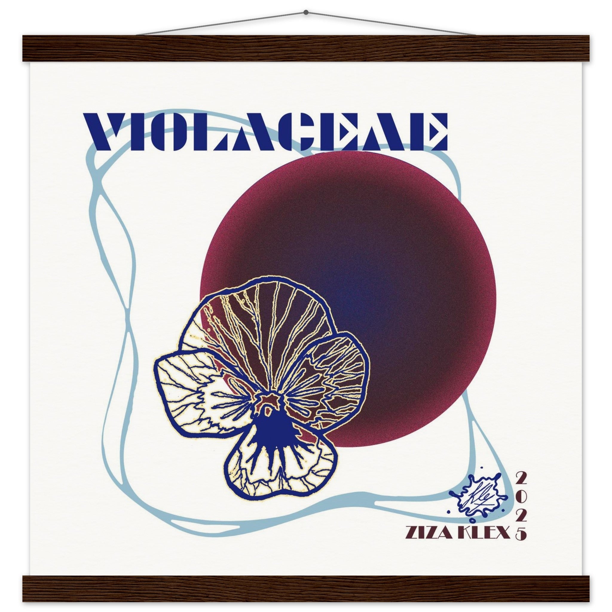 VIOLACEAE - KLEX ART