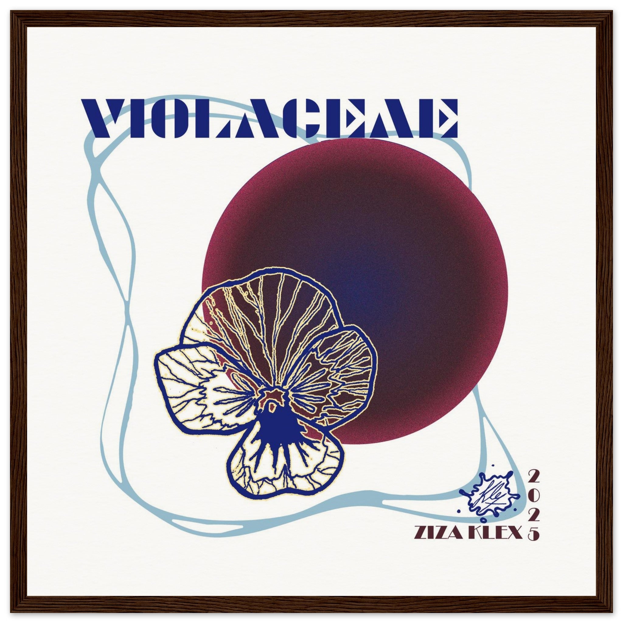 VIOLACEAE - KLEX ART