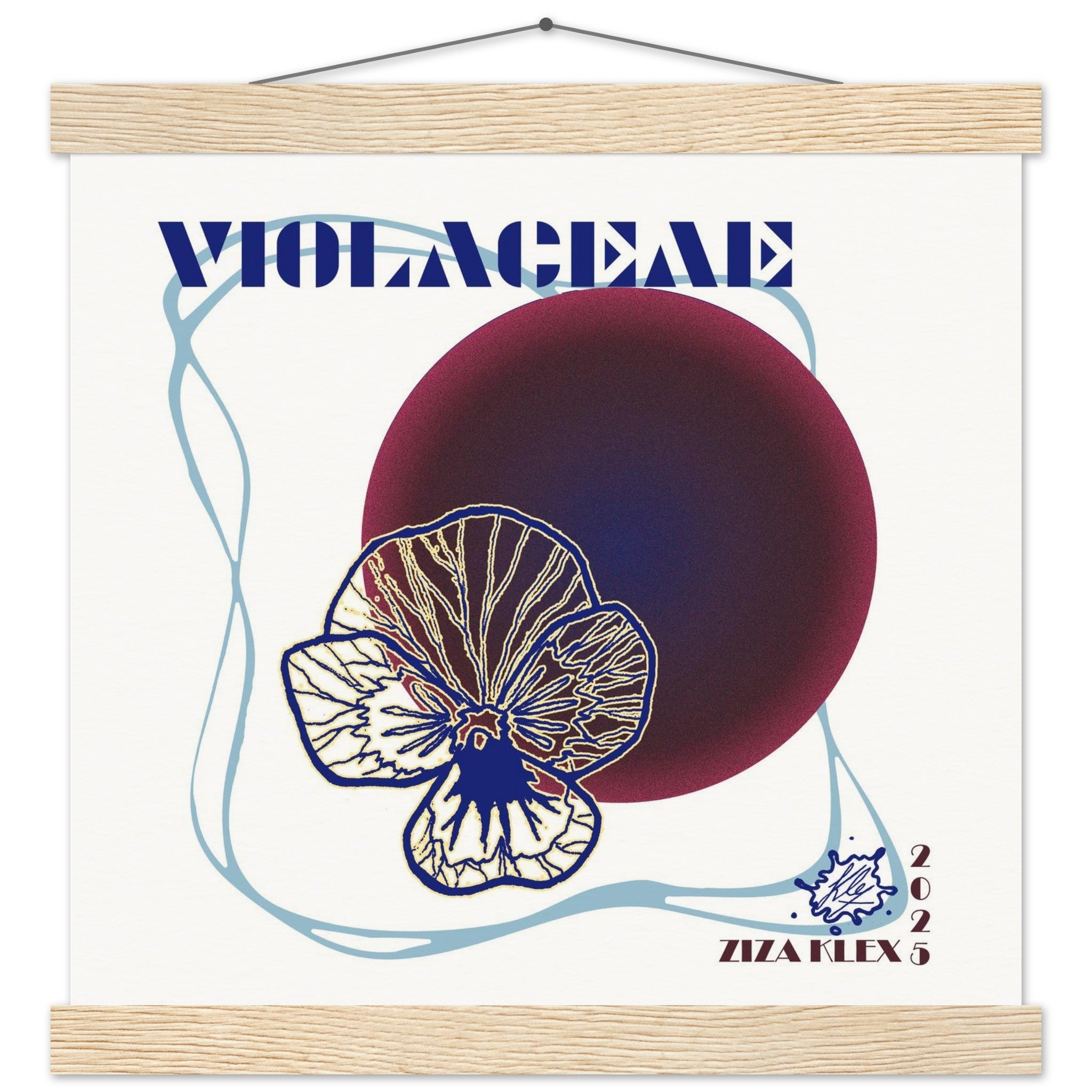 VIOLACEAE - KLEX ART