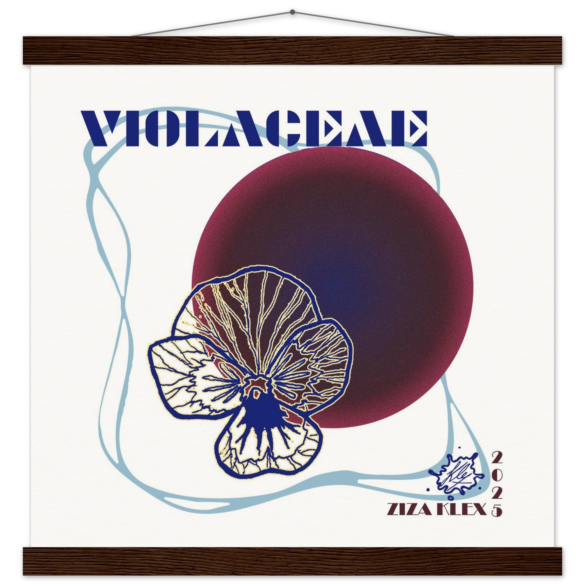 VIOLACEAE - KLEX ART