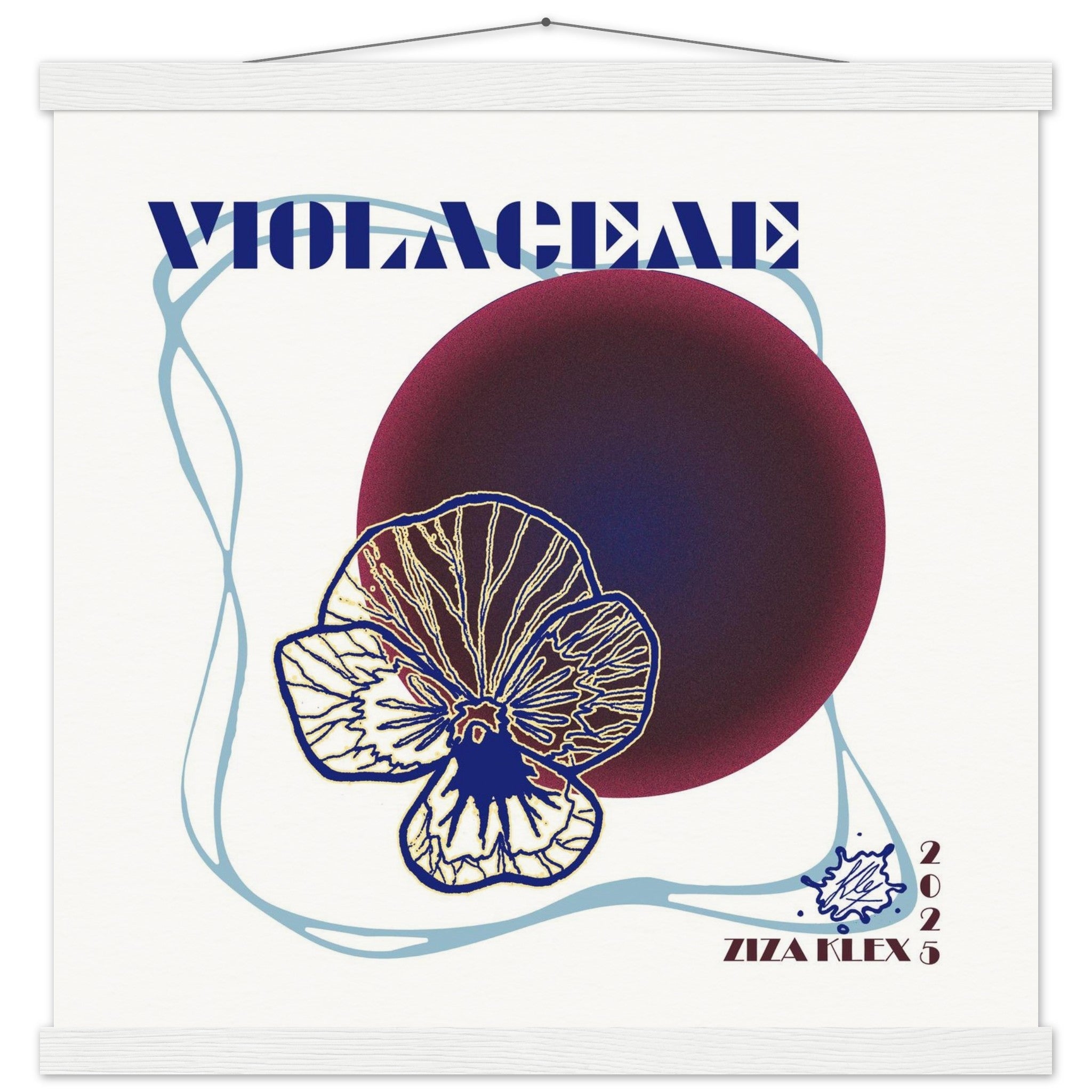 VIOLACEAE - KLEX ART