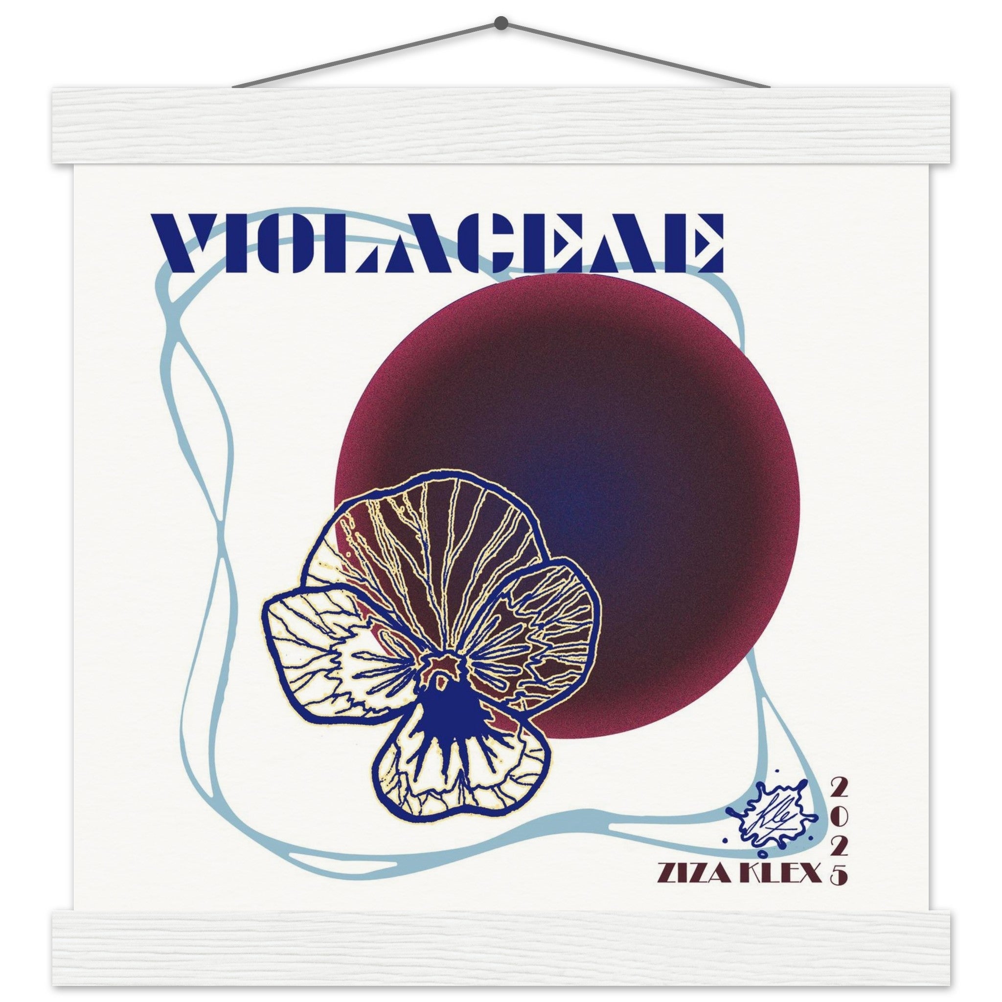 VIOLACEAE - KLEX ART
