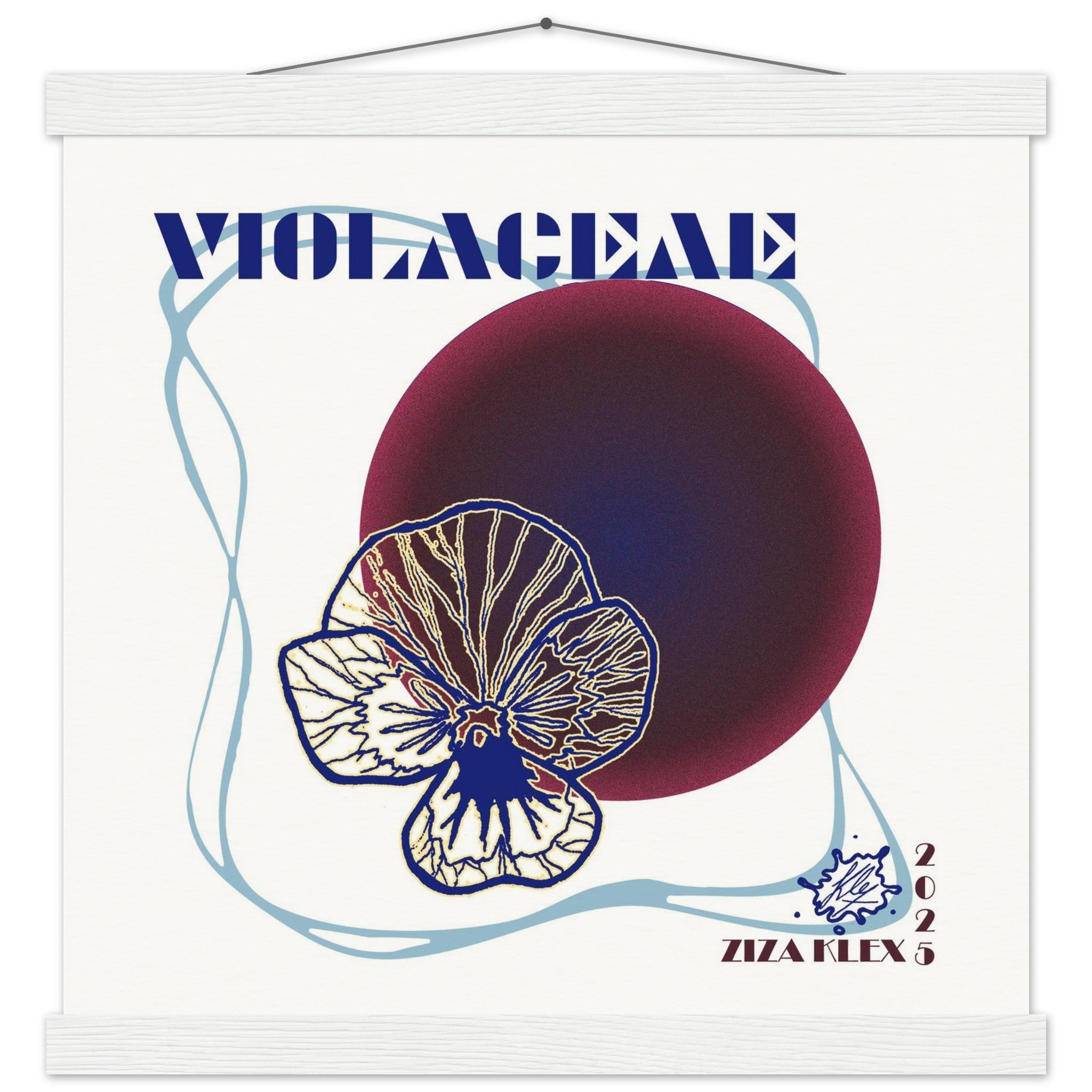 VIOLACEAE - KLEX ART