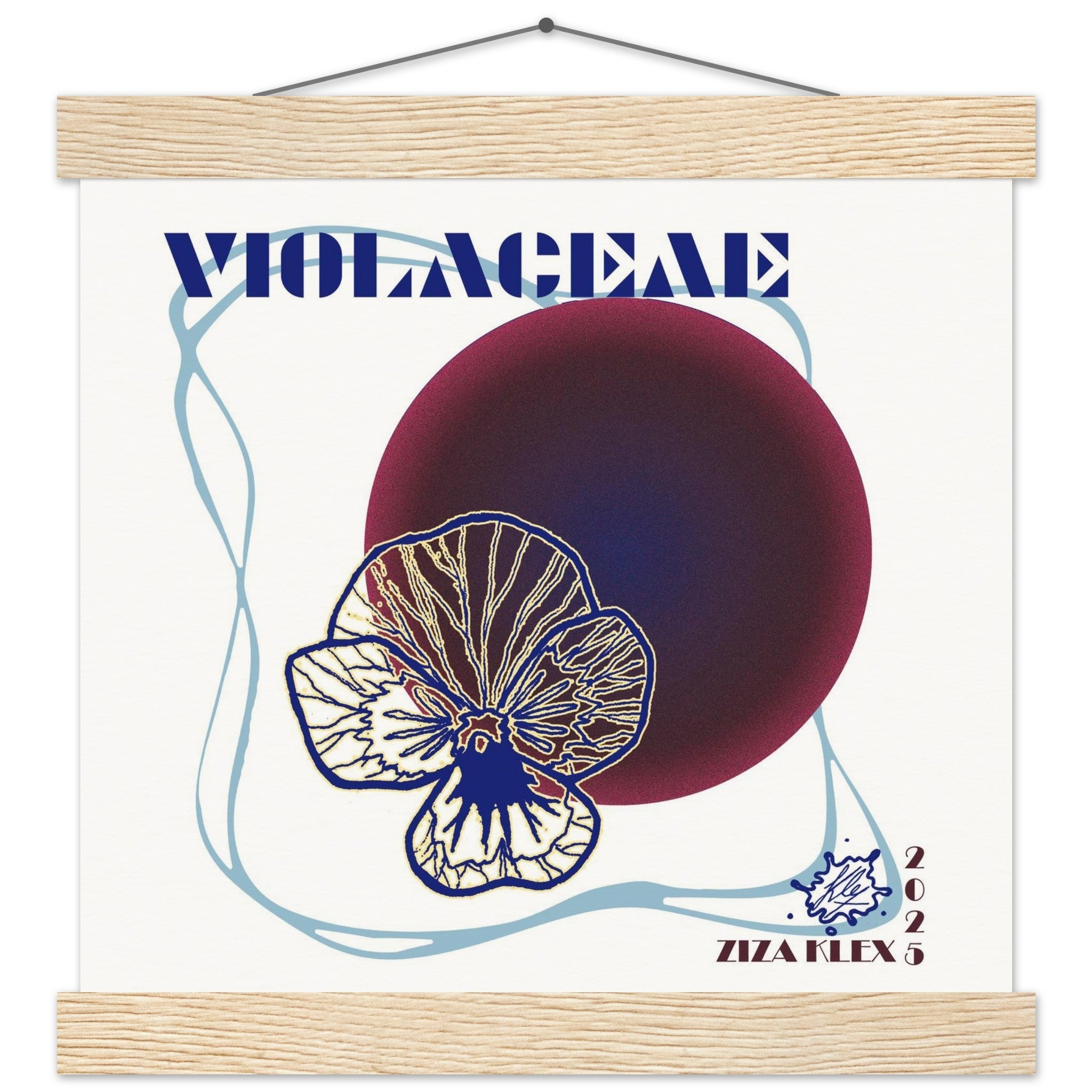 VIOLACEAE - KLEX ART
