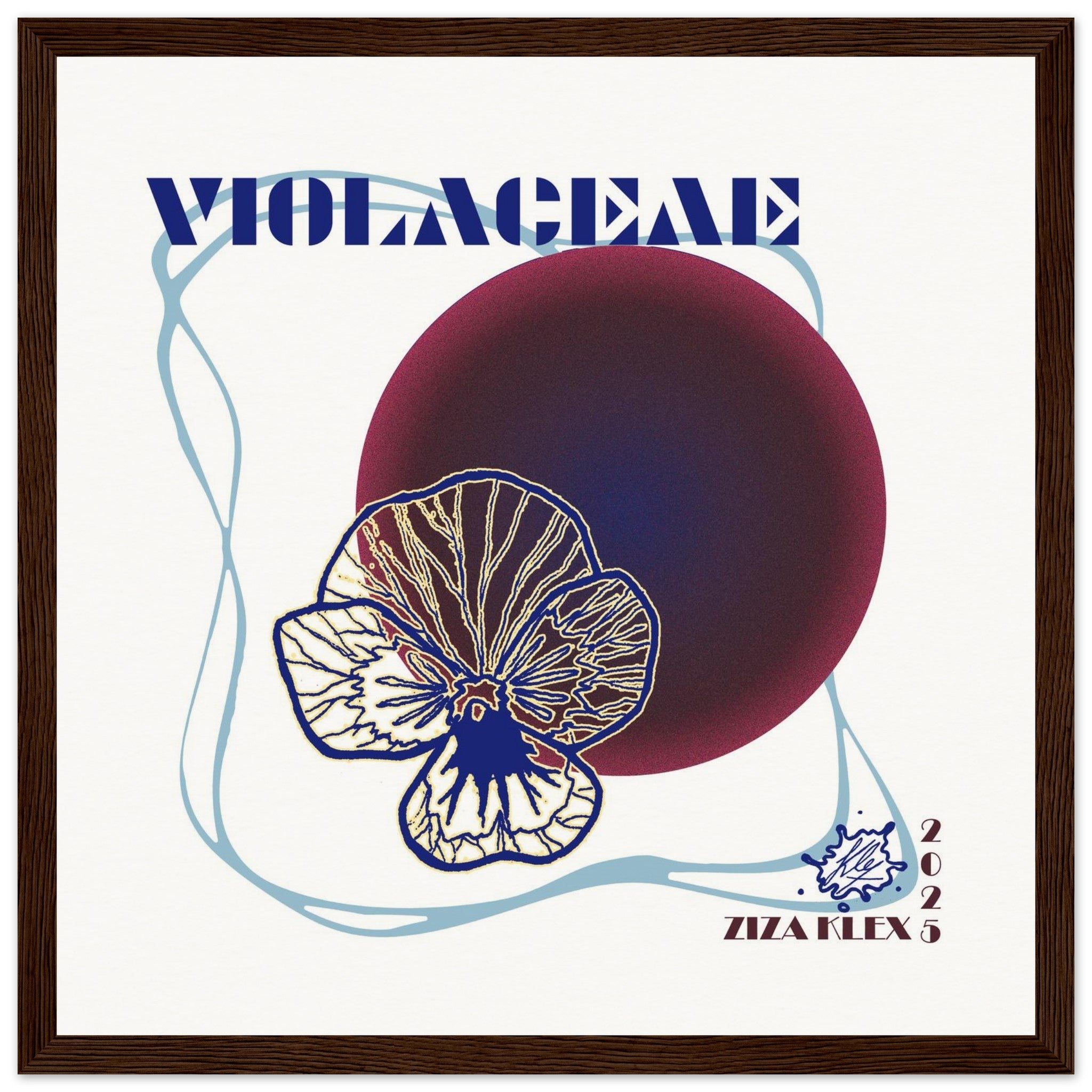 VIOLACEAE - KLEX ART
