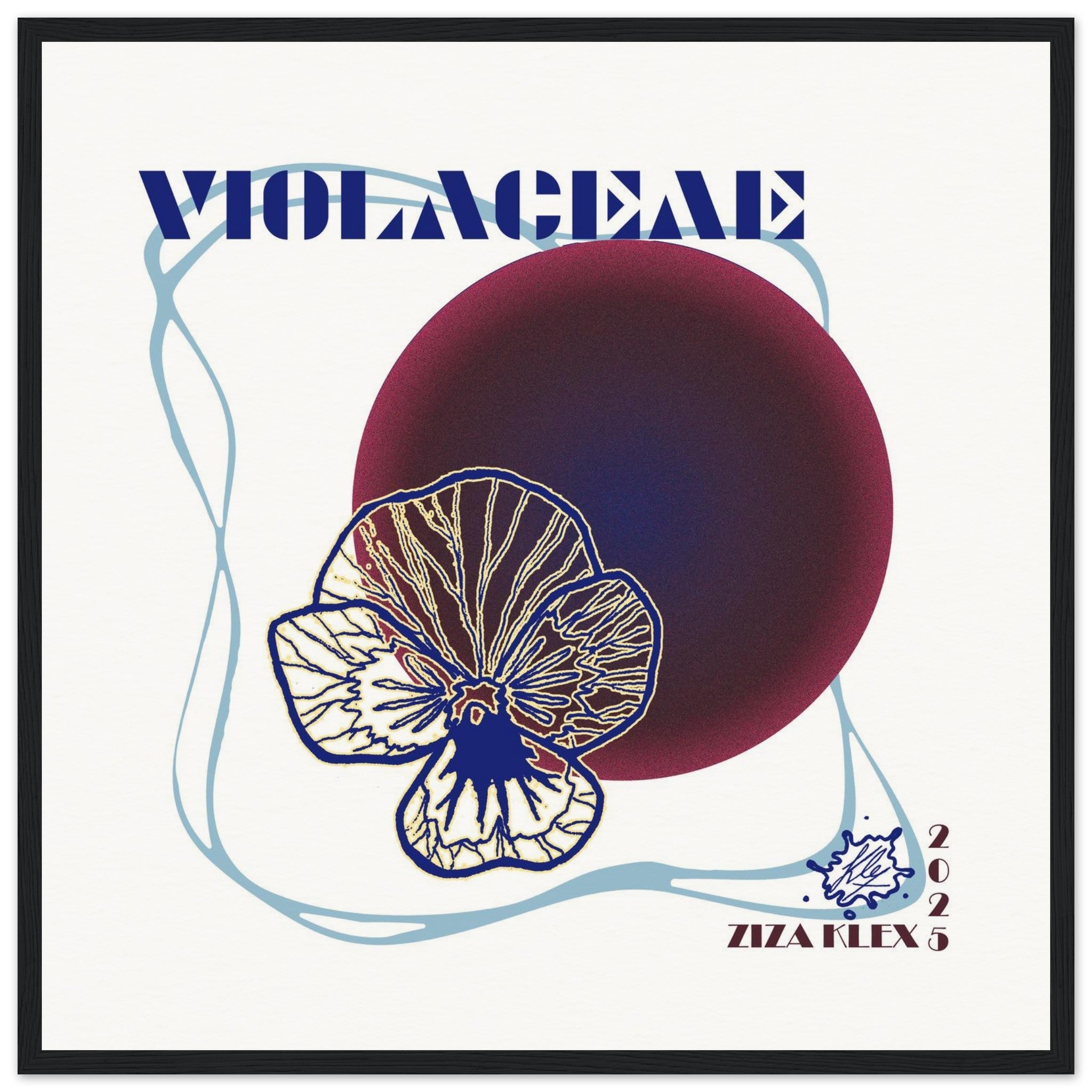 VIOLACEAE - KLEX ART