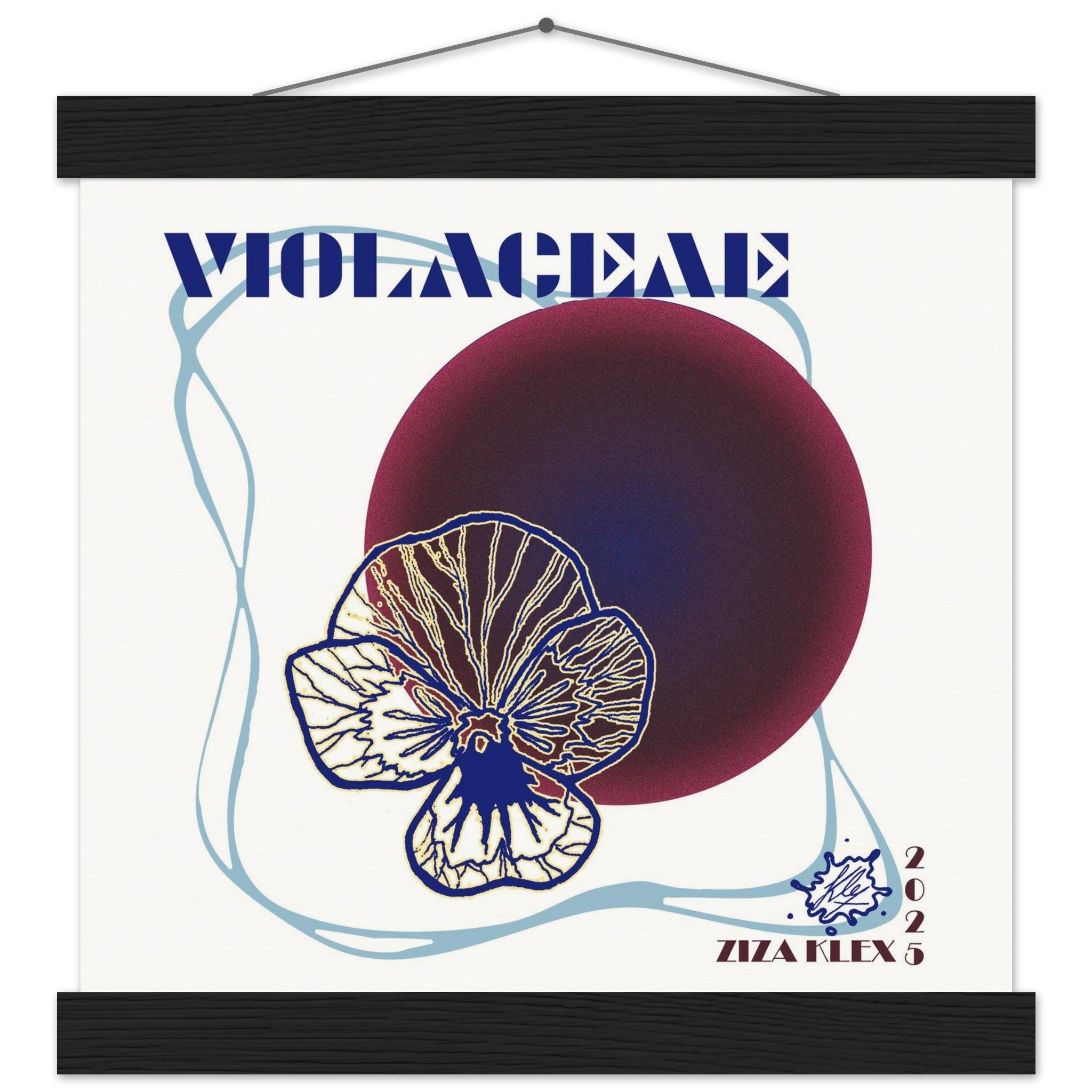 VIOLACEAE - KLEX ART