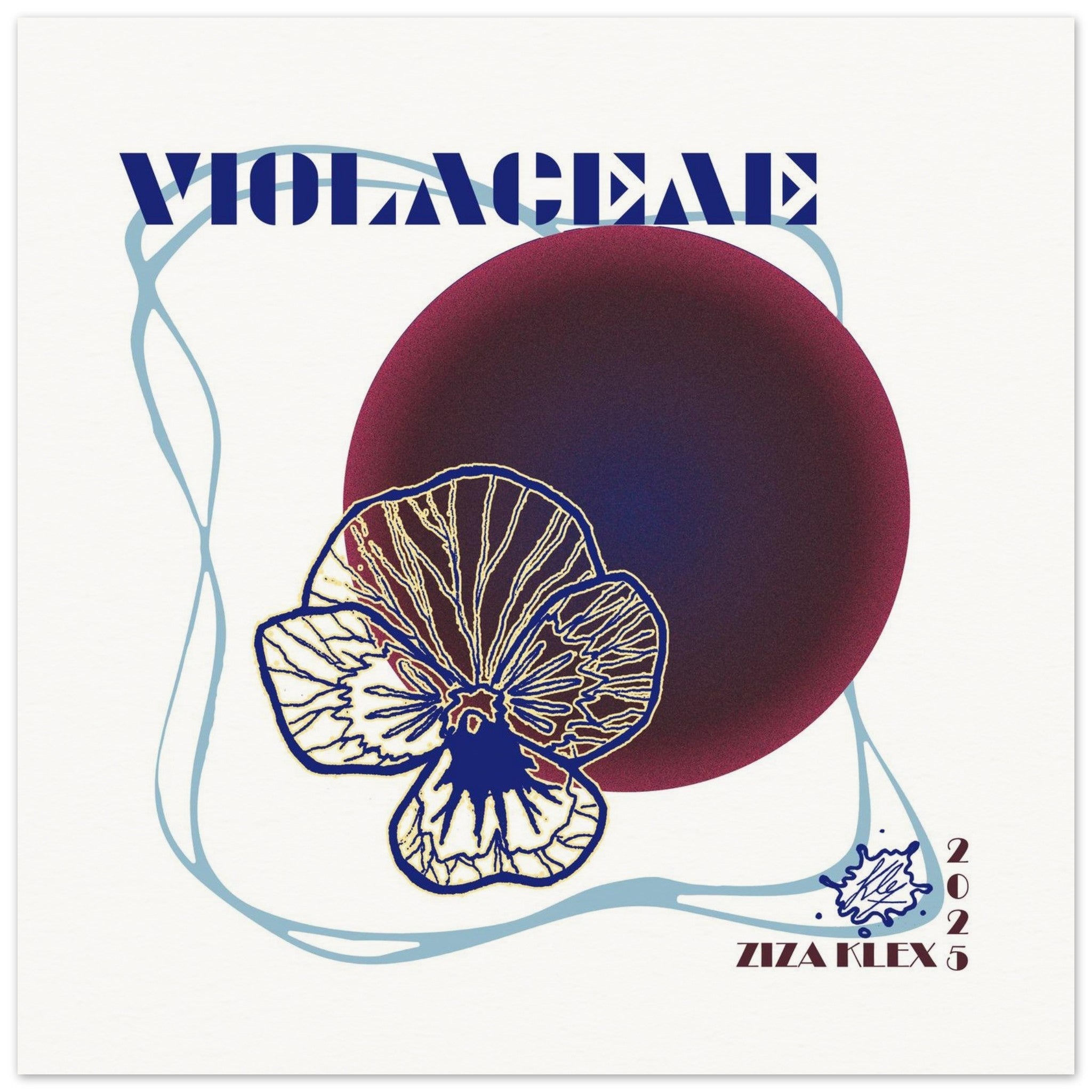 VIOLACEAE - KLEX ART