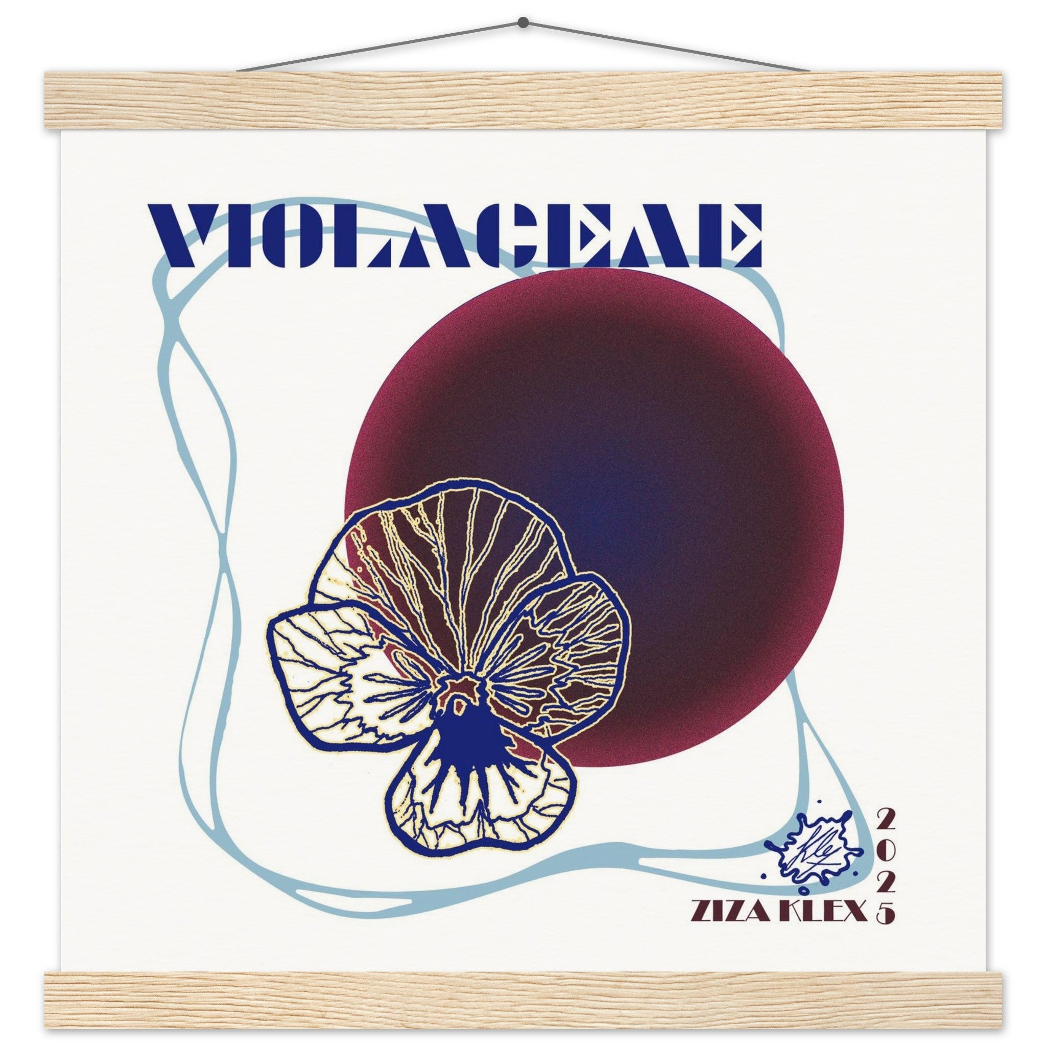VIOLACEAE - KLEX ART