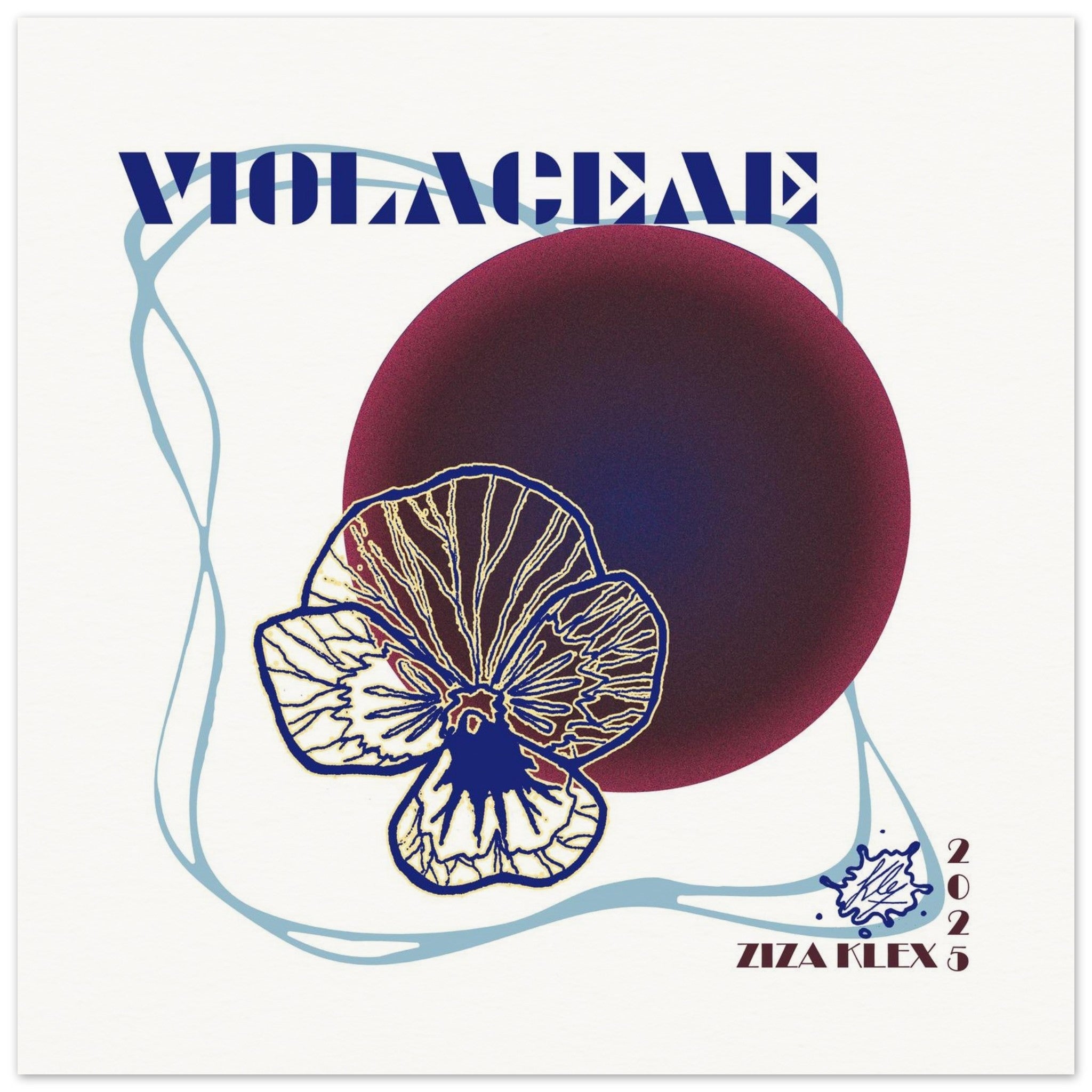 VIOLACEAE - KLEX ART