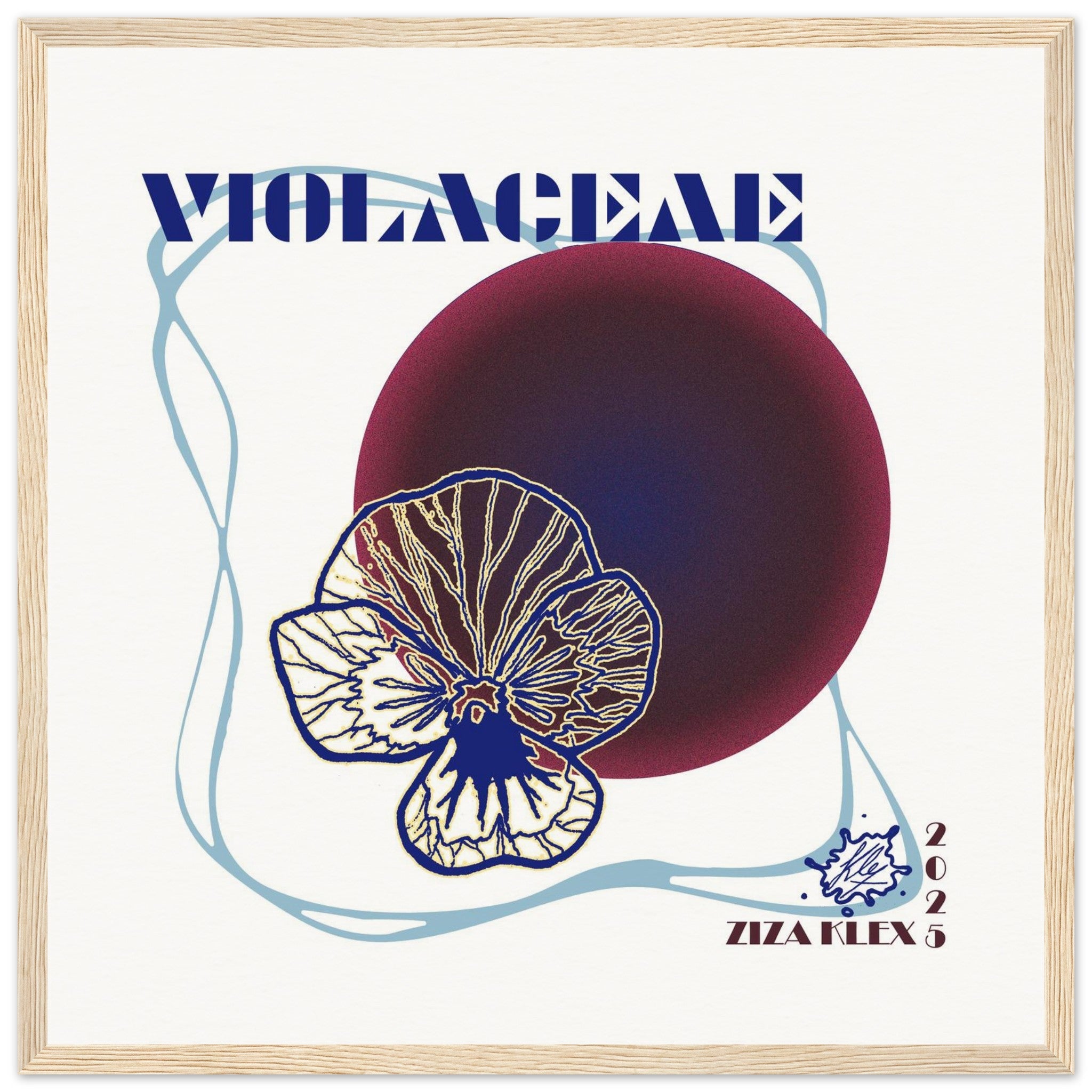 VIOLACEAE - KLEX ART