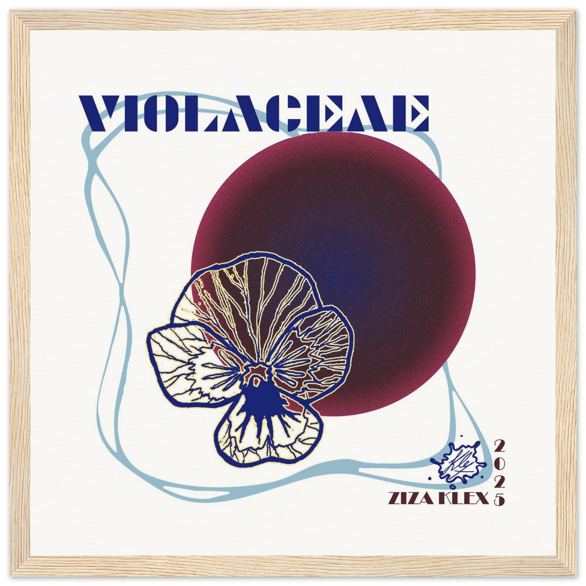 VIOLACEAE - KLEX ART