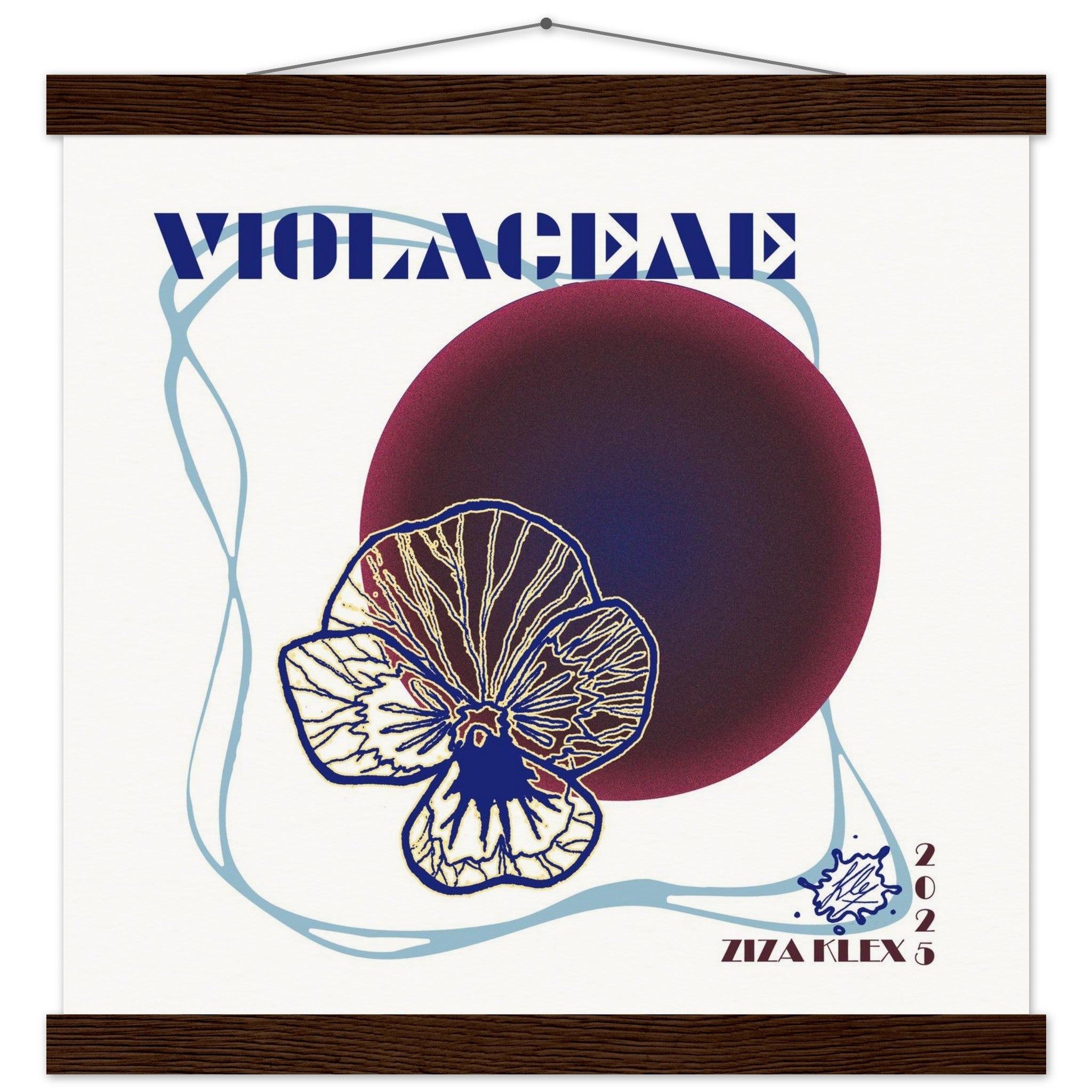 VIOLACEAE - KLEX ART