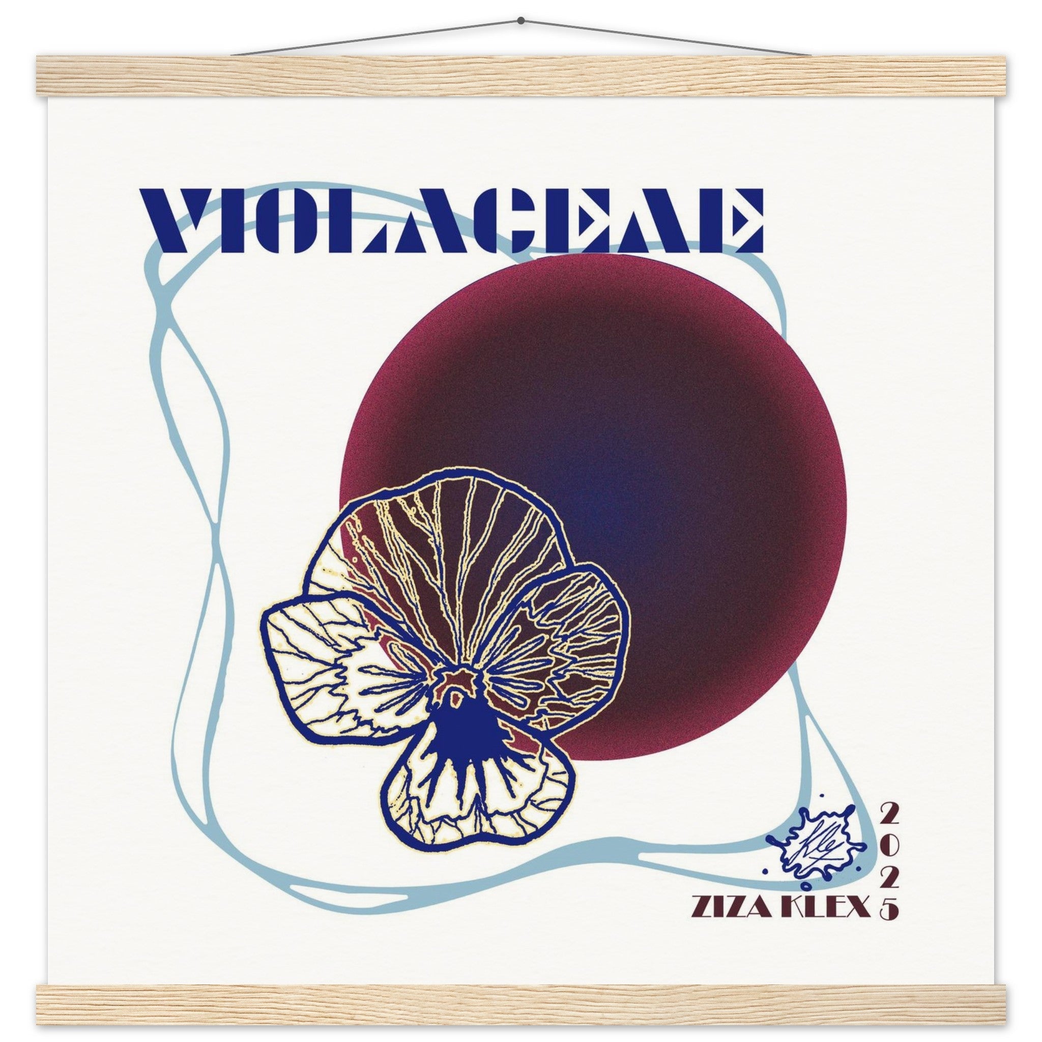 VIOLACEAE - KLEX ART