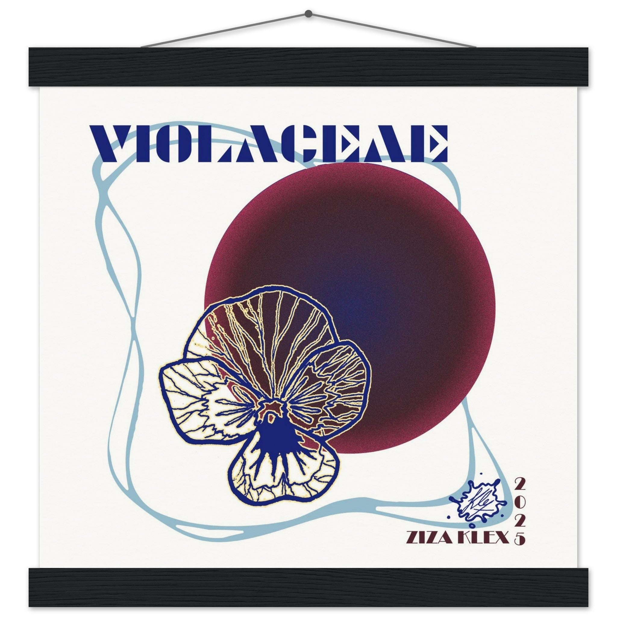 VIOLACEAE - KLEX ART