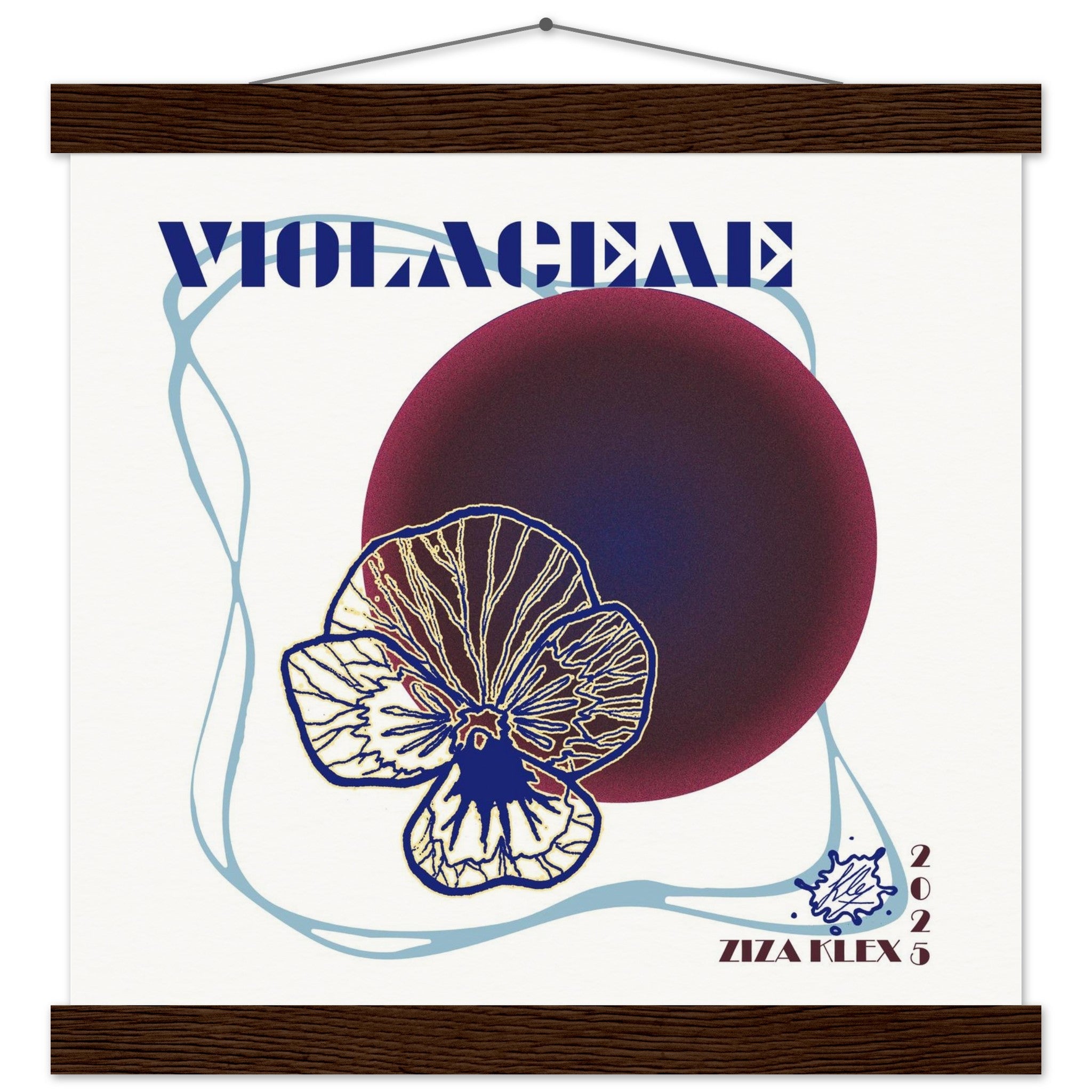 VIOLACEAE - KLEX ART