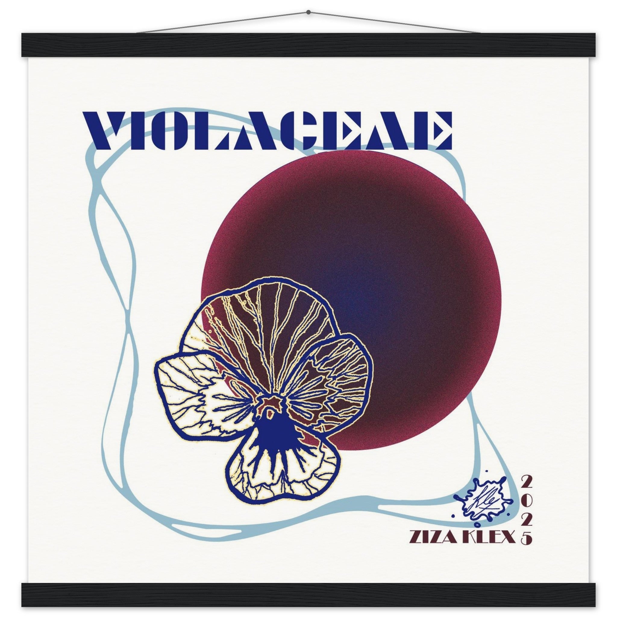 VIOLACEAE - KLEX ART