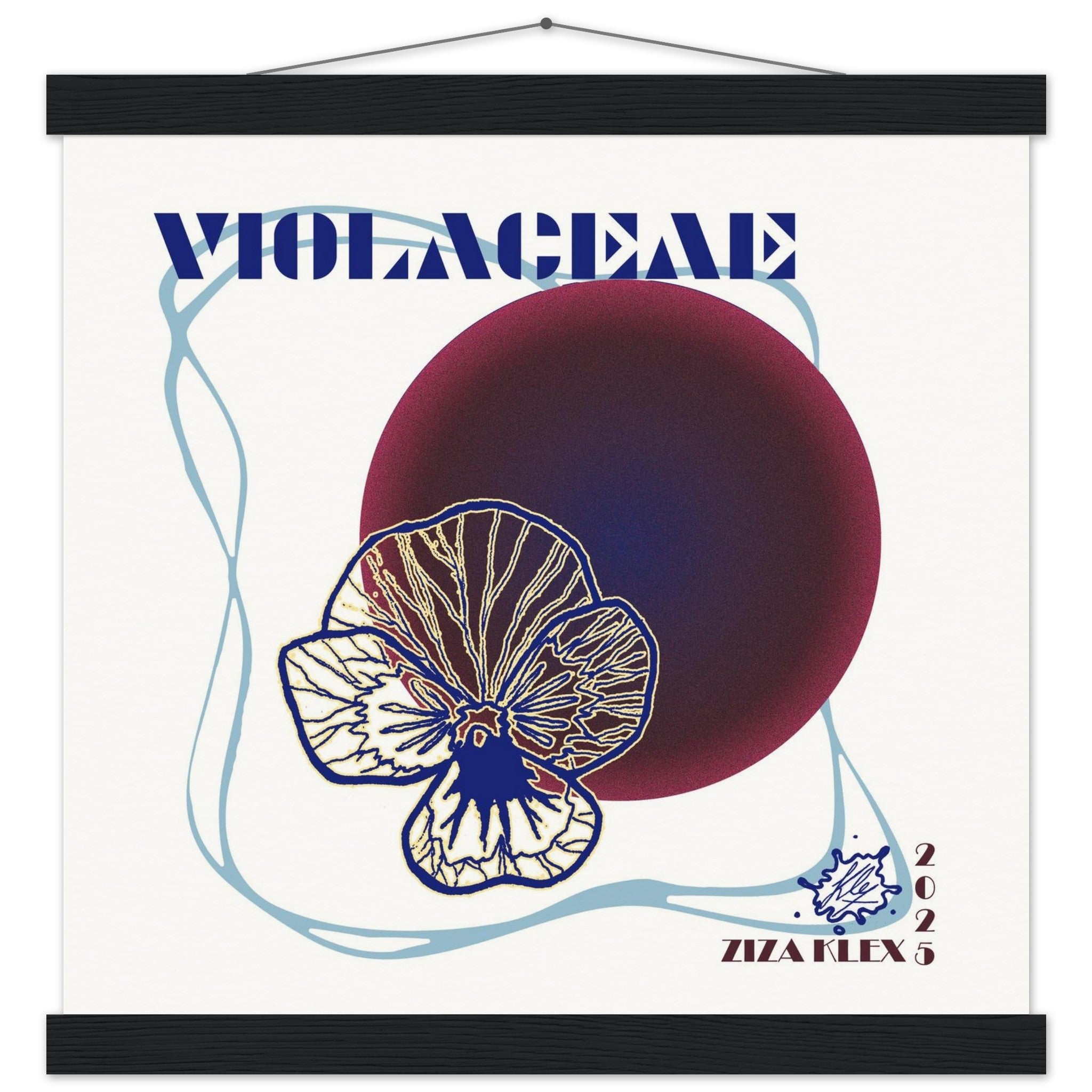 VIOLACEAE - KLEX ART