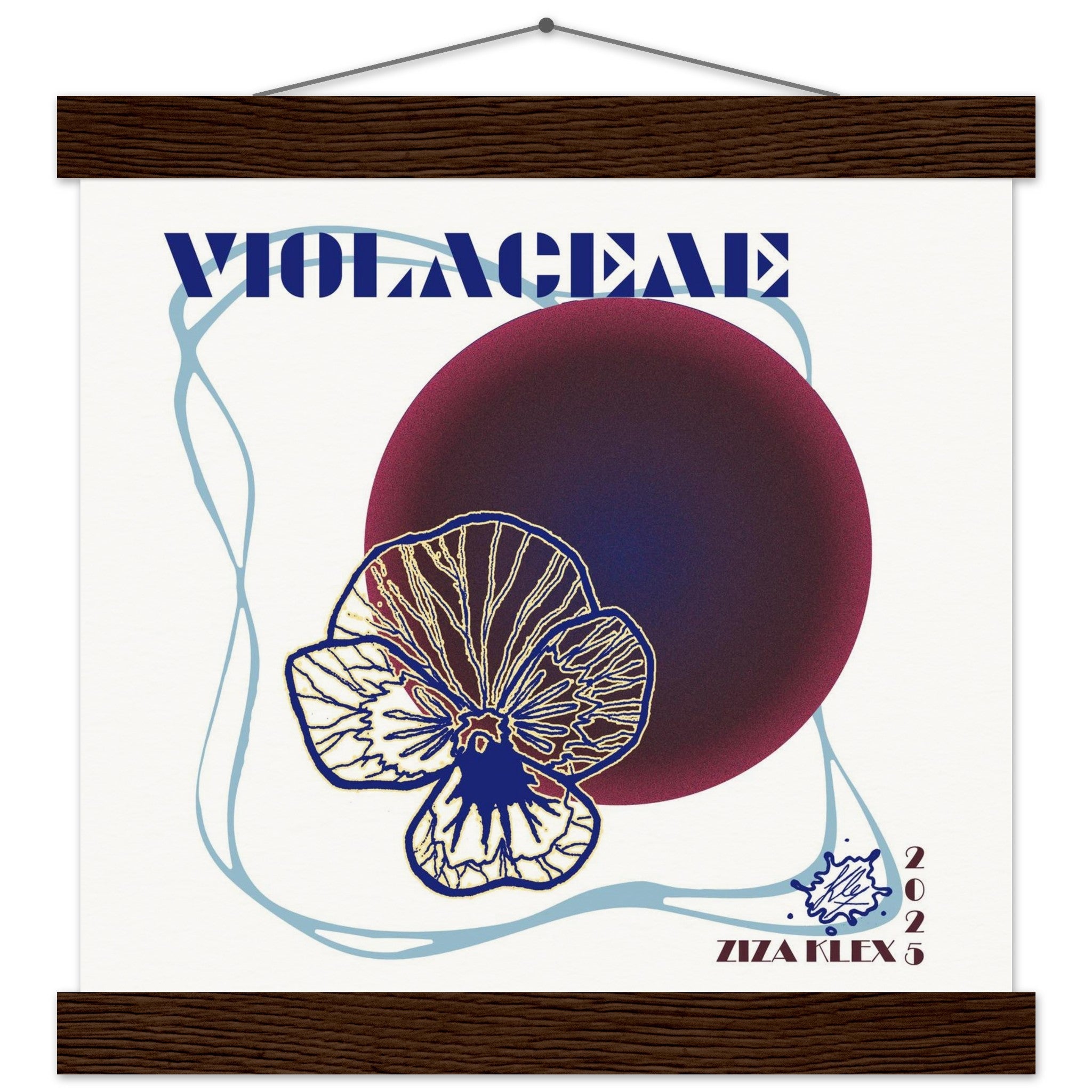 VIOLACEAE - KLEX ART