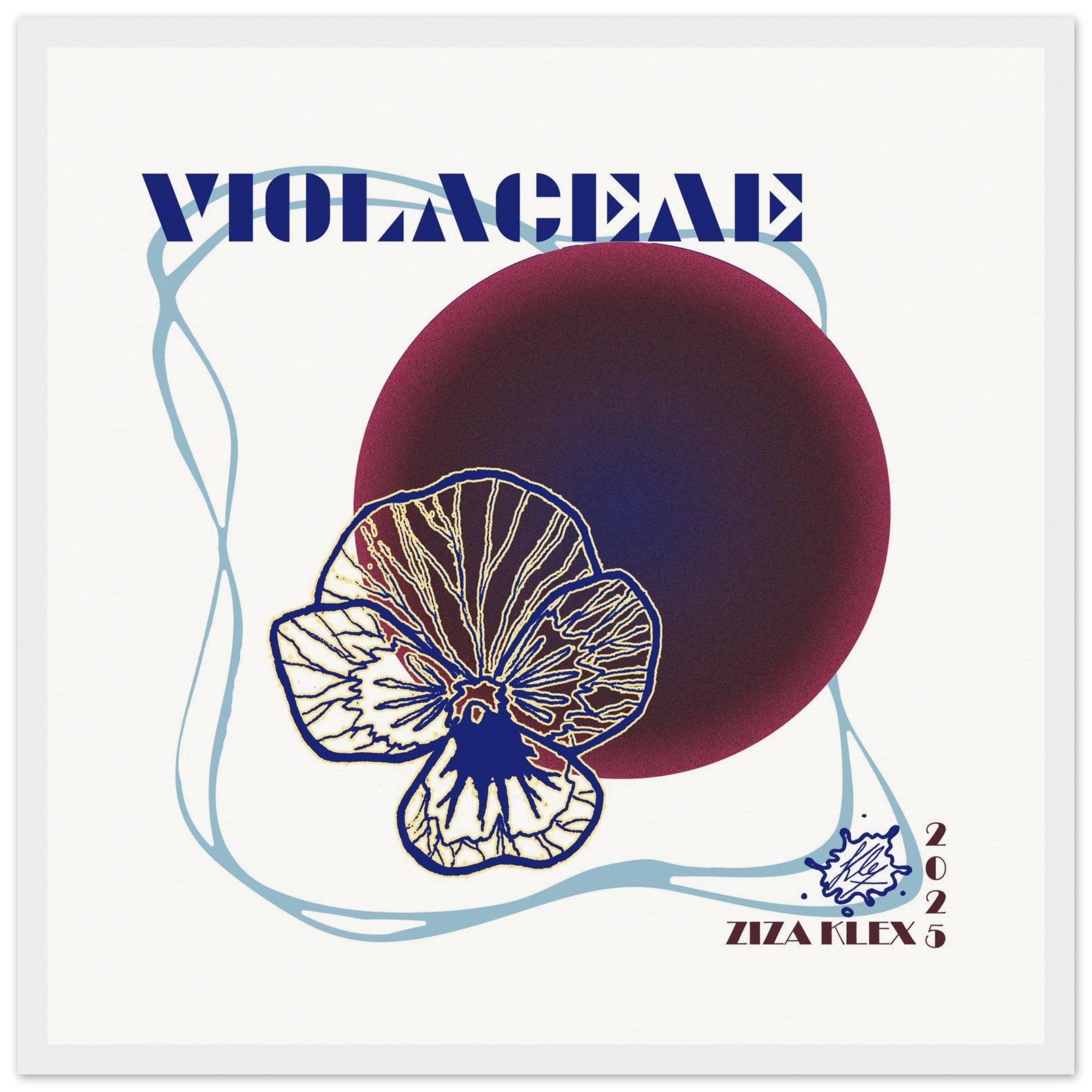 VIOLACEAE - KLEX ART