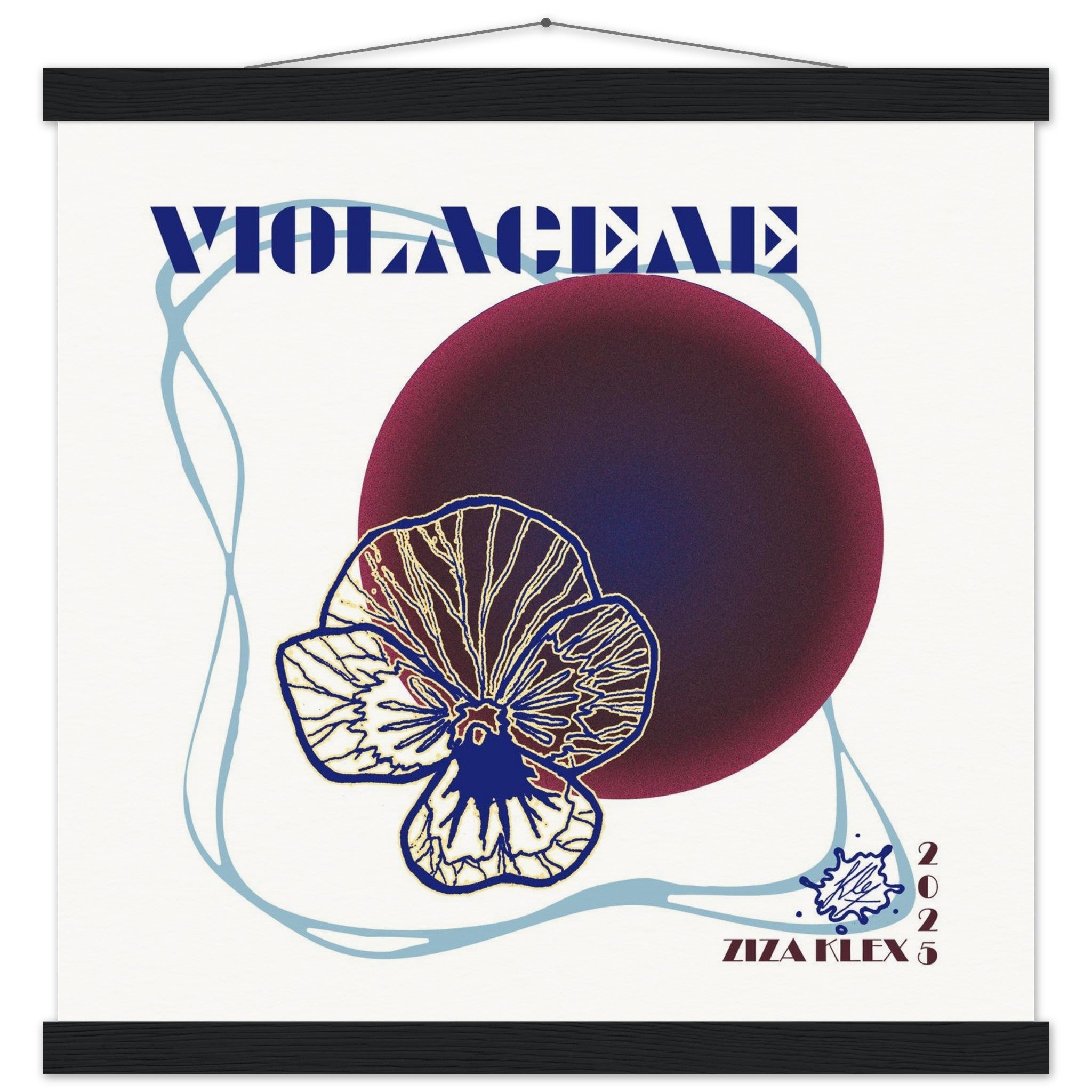 VIOLACEAE - KLEX ART
