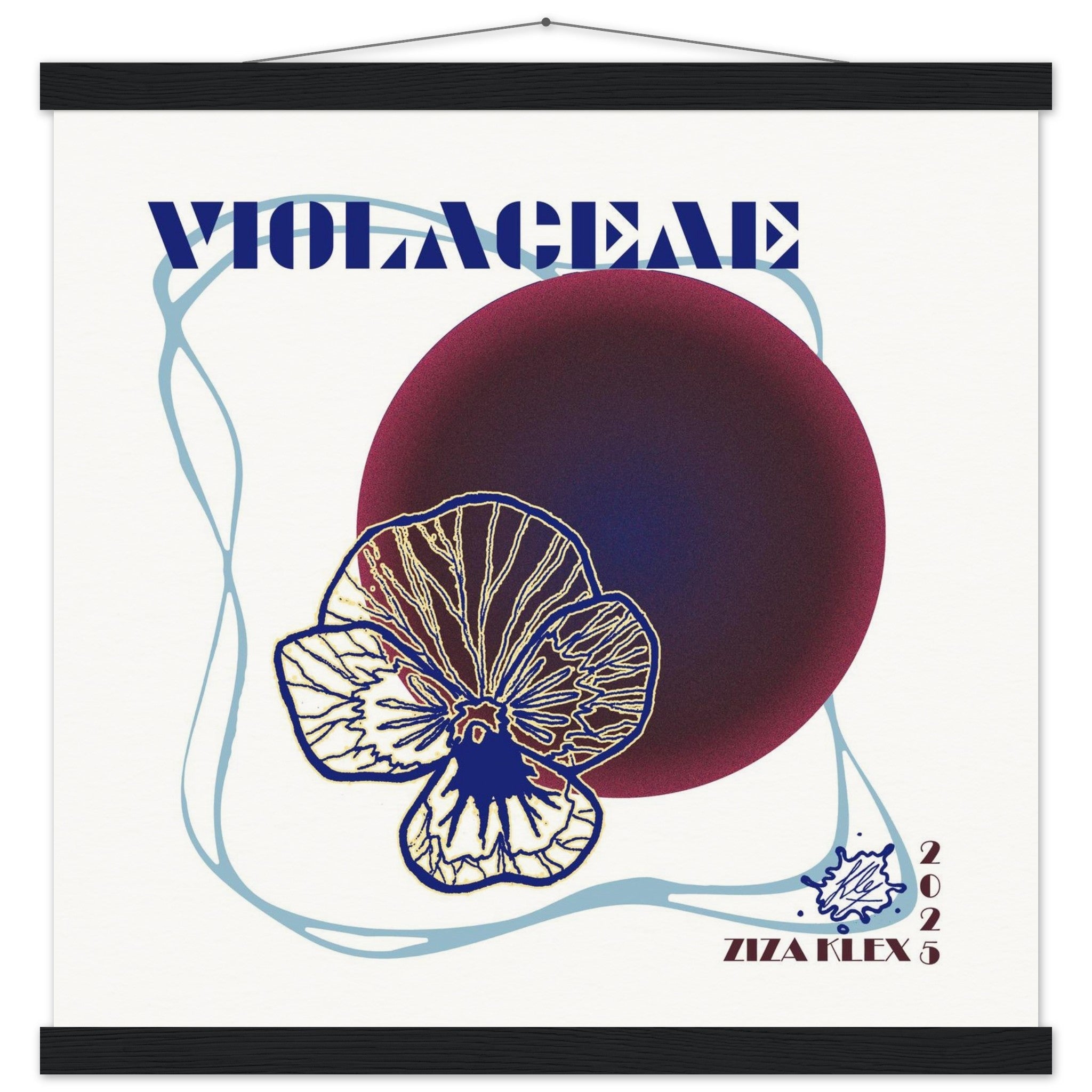 VIOLACEAE - KLEX ART