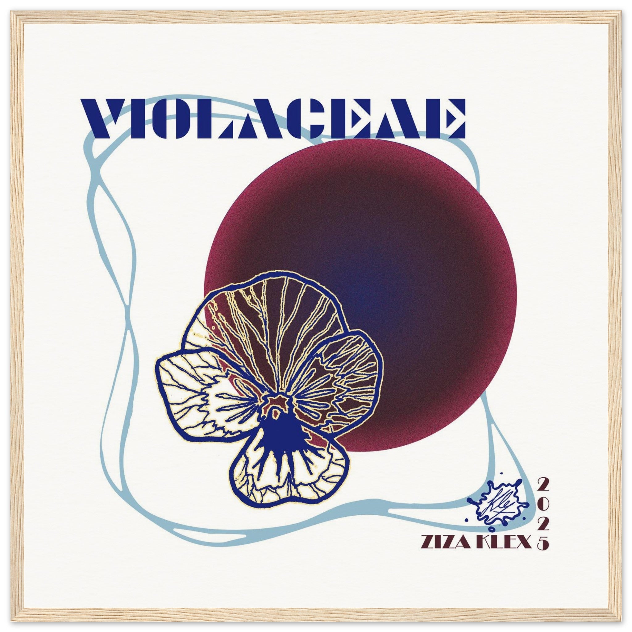 VIOLACEAE - KLEX ART