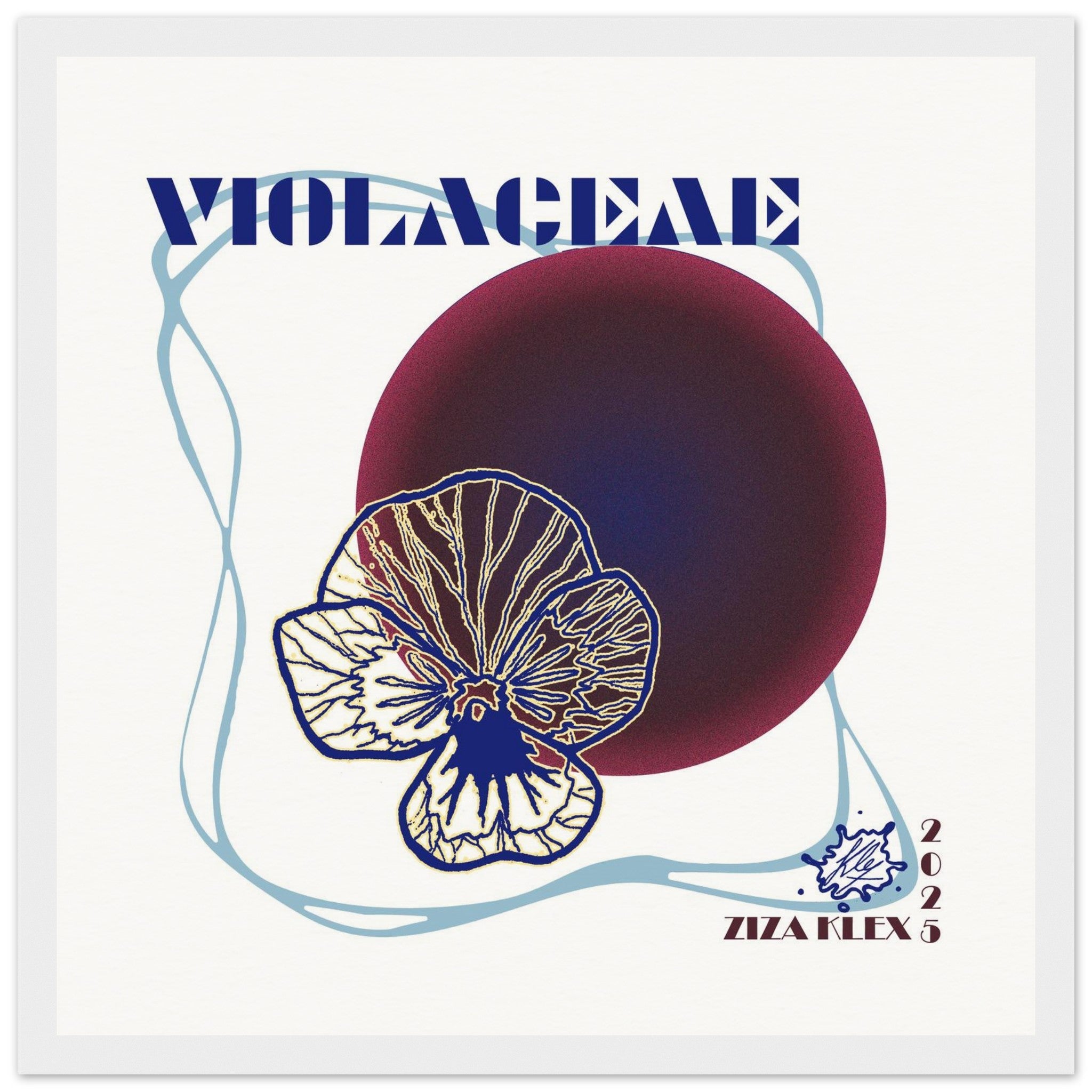 VIOLACEAE - KLEX ART
